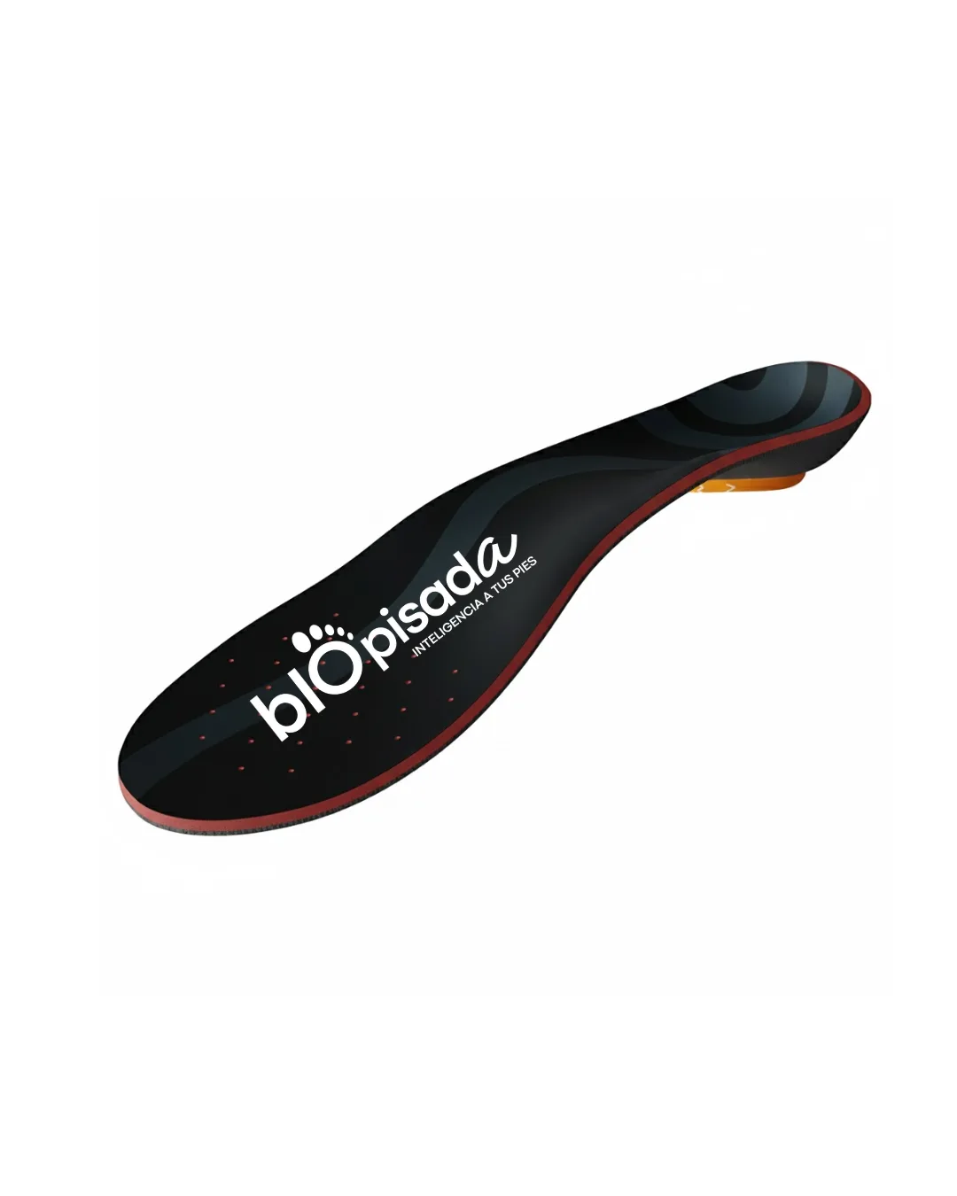 Dolor Lumbar (Espalda Baja)